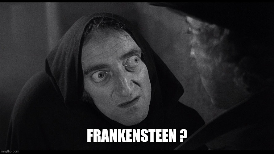 young frankenstein igor | FRANKENSTEEN ? | image tagged in young frankenstein igor | made w/ Imgflip meme maker