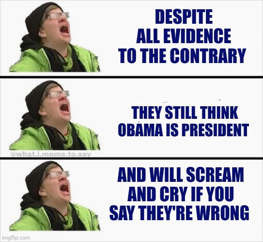 Whining Liberal | DESPITE ALL EVIDENCE TO THE CONTRARY THEY STILL THINK OBAMA IS PRESIDENT AND WILL SCREAM AND CRY IF YOU SAY THEY'RE WRONG | image tagged in whining liberal | made w/ Imgflip meme maker