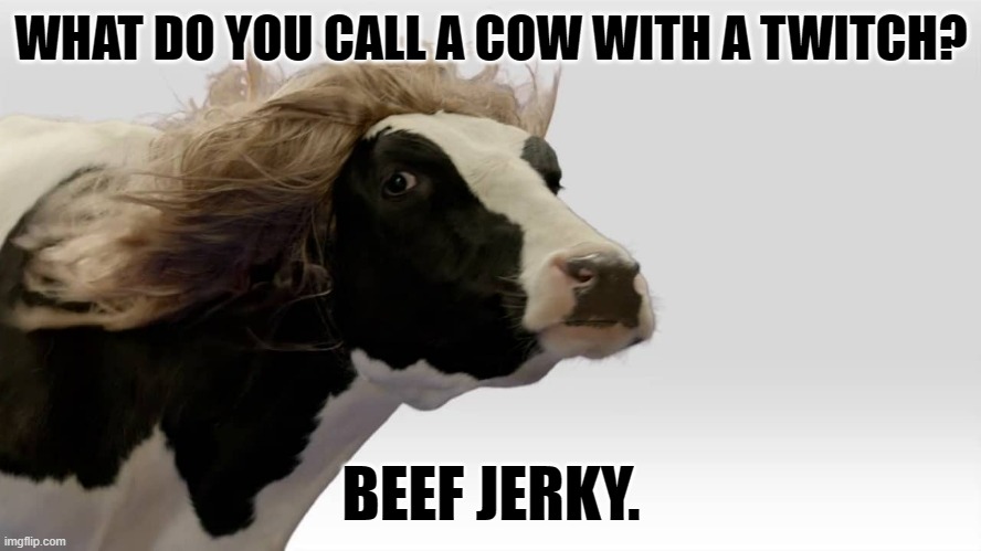 Daily Bad Dad Joke 11/13/2023 | WHAT DO YOU CALL A COW WITH A TWITCH? BEEF JERKY. | image tagged in fabio cow | made w/ Imgflip meme maker
