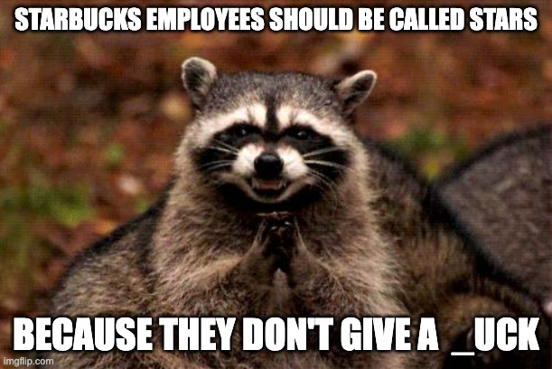 Evil Plotting Raccoon | STARBUCKS EMPLOYEES SHOULD BE CALLED STARS; BECAUSE THEY DON'T GIVE A  _UCK | image tagged in memes,evil plotting raccoon | made w/ Imgflip meme maker