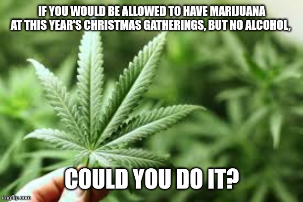 marijuana | IF YOU WOULD BE ALLOWED TO HAVE MARIJUANA AT THIS YEAR'S CHRISTMAS GATHERINGS, BUT NO ALCOHOL, COULD YOU DO IT? | image tagged in marijuana | made w/ Imgflip meme maker