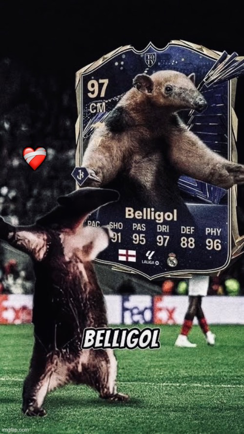 beligol | ❤️‍🩹 | image tagged in beligol | made w/ Imgflip meme maker