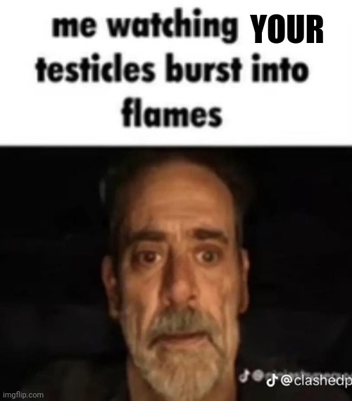 Me watching my testicles burst into flames | YOUR | image tagged in me watching my testicles burst into flames | made w/ Imgflip meme maker