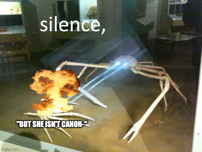 silence | "BUT SHE ISN'T CANON-" | image tagged in silence | made w/ Imgflip meme maker