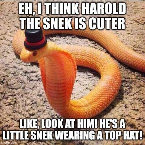 Dapper Snek | EH, I THINK HAROLD THE SNEK IS CUTER LIKE, LOOK AT HIM! HE'S A LITTLE SNEK WEARING A TOP HAT! | image tagged in dapper snek | made w/ Imgflip meme maker