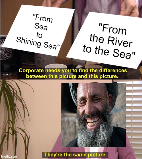 They're The Same Picture | "From Sea to Shining Sea"; "From the River to the Sea" | image tagged in memes,they're the same picture | made w/ Imgflip meme maker