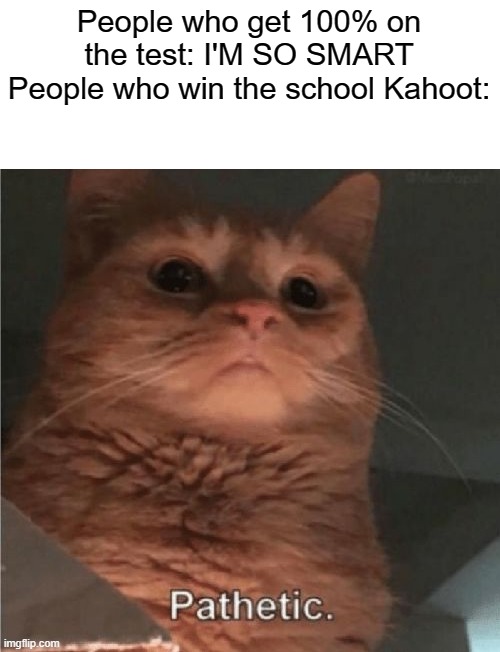 I'm soooooo intelligent | People who get 100% on the test: I'M SO SMART
People who win the school Kahoot: | image tagged in pathetic cat,kahoot | made w/ Imgflip meme maker