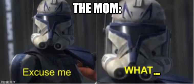 Excuse me what | THE MOM: ... | image tagged in excuse me what | made w/ Imgflip meme maker