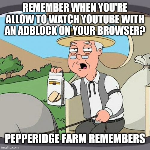 "DiSaBlE aDbLoCk AnD bUy OuR yOuTuBe PrEmUiM!" | REMEMBER WHEN YOU'RE ALLOW TO WATCH YOUTUBE WITH AN ADBLOCK ON YOUR BROWSER? PEPPERIDGE FARM REMEMBERS | image tagged in memes,pepperidge farm remembers,youtube | made w/ Imgflip meme maker