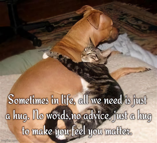 ((HUG)) ♡ | image tagged in hugs,cats,dogs,life | made w/ Imgflip meme maker