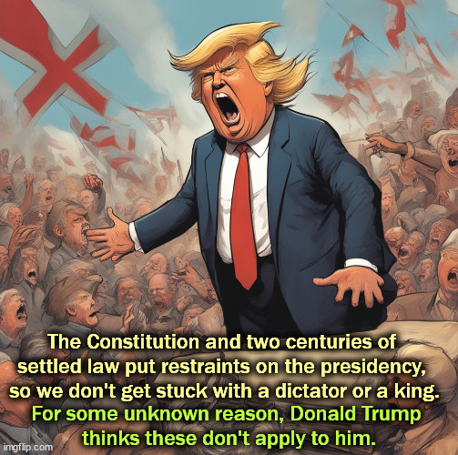 If the Founding Fathers wanted a king or a dictator, they would have  mentioned it. | The Constitution and two centuries of 
settled law put restraints on the presidency, 
so we don't get stuck with a dictator or a king. For some unknown reason, Donald Trump 
thinks these don't apply to him. | image tagged in trump,constitution,president,king,dictator | made w/ Imgflip meme maker