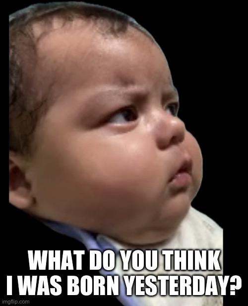 What do you think I was born yesterday? | WHAT DO YOU THINK I WAS BORN YESTERDAY? | image tagged in what do you think i was born yesterday | made w/ Imgflip meme maker