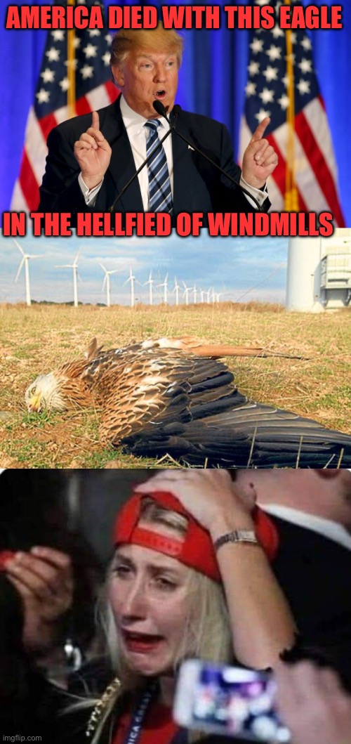 AMERICA DIED WITH THIS EAGLE; IN THE HELLFIED OF WINDMILLS | image tagged in trump speech,dead bird,trump supporter crying | made w/ Imgflip meme maker