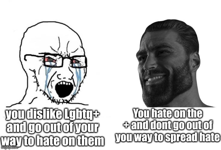 Soyboy vs Giga Chad | you dislike Lgbtq+ and go out of your way to hate on them; You hate on the + and dont go out of you way to spread hate | image tagged in soyboy vs giga chad | made w/ Imgflip meme maker