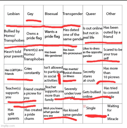 lol made this because my step mom divorsed my dad or however you spell it | image tagged in lgbtqia bingo | made w/ Imgflip meme maker