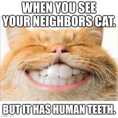 WHEN YOU SEE YOUR NEIGHBORS CAT. BUT IT HAS HUMAN TEETH. | made w/ Imgflip meme maker