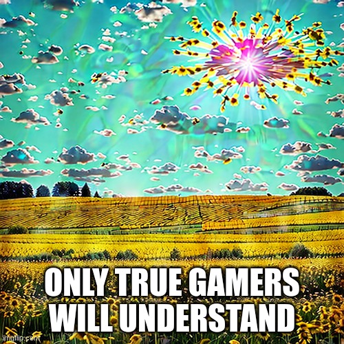 ONLY TRUE GAMERS WILL UNDERSTAND | image tagged in optical illusion | made w/ Imgflip meme maker