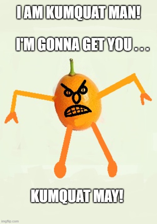 Kumquat Man | I AM KUMQUAT MAN! I'M GONNA GET YOU . . . KUMQUAT MAY! | image tagged in kumquat man,evil kumquat,bad pun | made w/ Imgflip meme maker