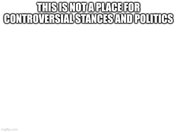 you can say what you belive but just stop it there | THIS IS NOT A PLACE FOR CONTROVERSIAL STANCES AND POLITICS | made w/ Imgflip meme maker