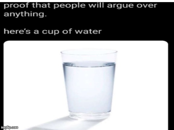 Proof that people will argue over the dumbest things | image tagged in water,cup of water | made w/ Imgflip meme maker