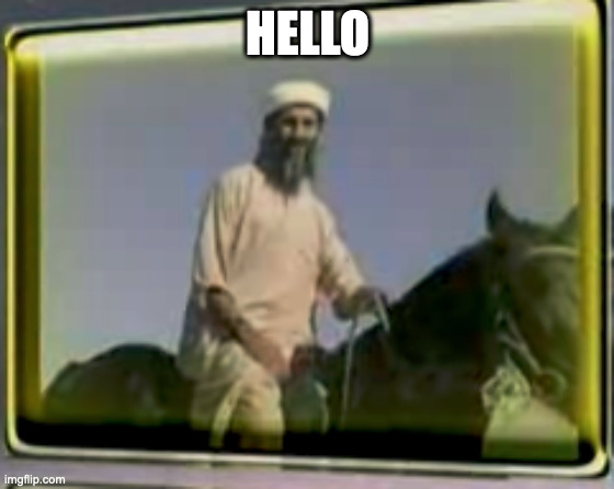 osama on horse | HELLO | image tagged in osama on horse | made w/ Imgflip meme maker