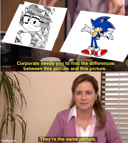 They're The Same Picture | image tagged in memes,they're the same picture | made w/ Imgflip meme maker