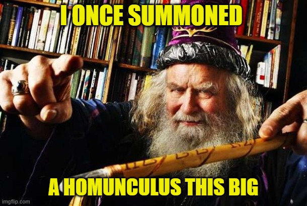 This Big | I ONCE SUMMONED; A HOMUNCULUS THIS BIG | image tagged in this big | made w/ Imgflip meme maker