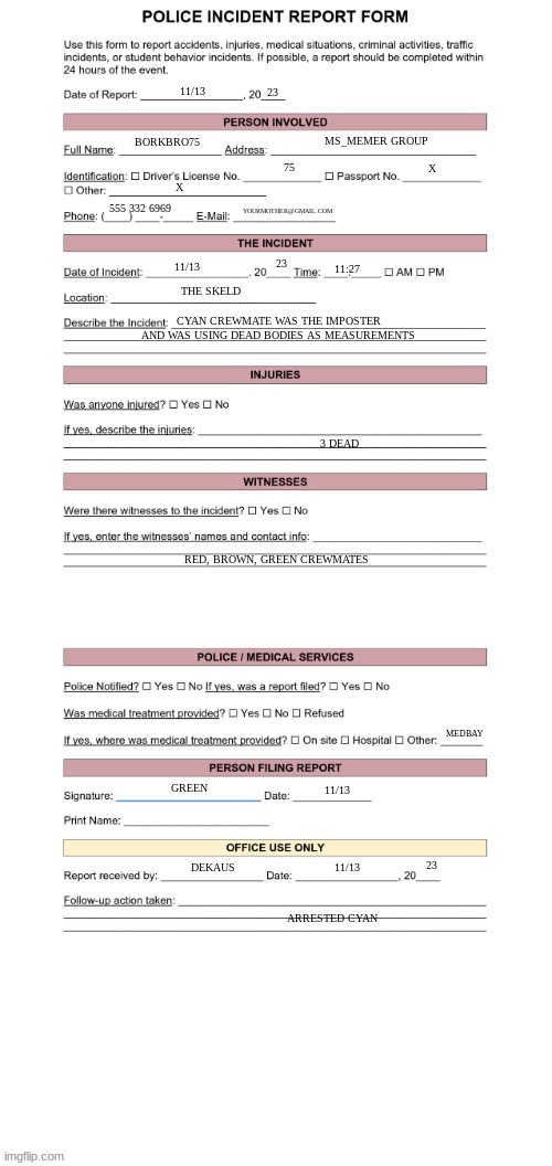 Police Report Form | 11/13 23 BORKBRO75 MS_MEMER GROUP 75 X X 555 332 6969 YOURMOTHER@GMAIL.COM 11/13 23 11:27 THE SKELD CYAN CREWMATE WAS THE IMPOSTER AND WAS U | image tagged in police report form | made w/ Imgflip meme maker