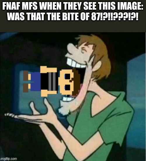 FNAF MFS WHEN THEY SEE THIS IMAGE:
WAS THAT THE BITE OF 87!?!!???!?! | image tagged in bite of 87,shaggy | made w/ Imgflip meme maker