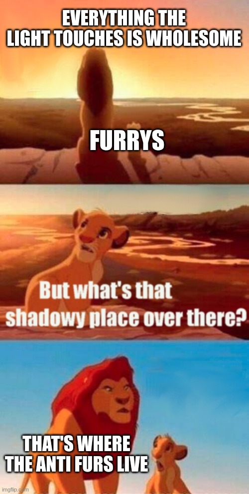 Simba Shadowy Place Meme | EVERYTHING THE LIGHT TOUCHES IS WHOLESOME; FURRYS; THAT'S WHERE THE ANTI FURS LIVE | image tagged in memes,simba shadowy place | made w/ Imgflip meme maker