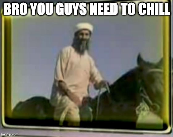 osama on horse | BRO YOU GUYS NEED TO CHILL | image tagged in osama on horse | made w/ Imgflip meme maker