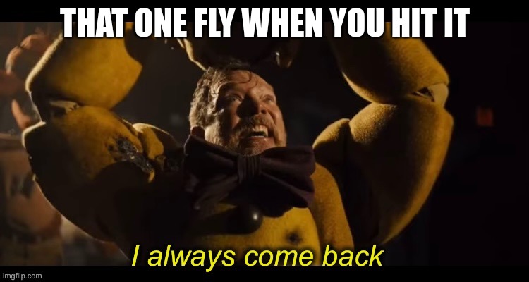 I always come back | THAT ONE FLY WHEN YOU HIT IT | image tagged in i always come back | made w/ Imgflip meme maker
