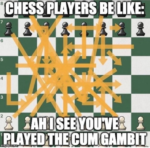 I used to play chess | made w/ Imgflip meme maker