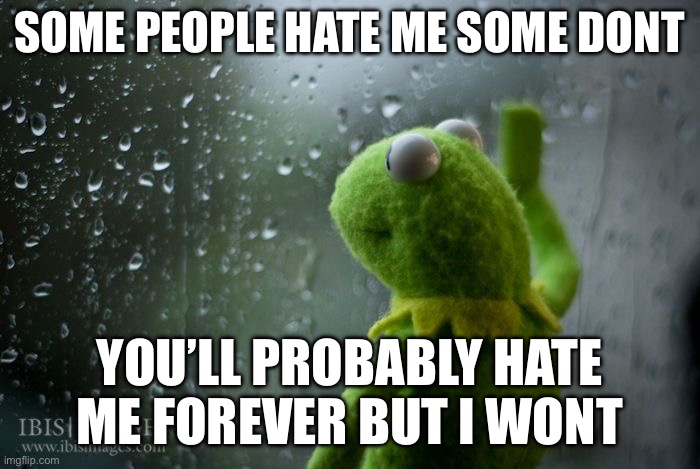 It’s a poem | SOME PEOPLE HATE ME SOME DONT; YOU’LL PROBABLY HATE ME FOREVER BUT I WONT | image tagged in kermit window | made w/ Imgflip meme maker