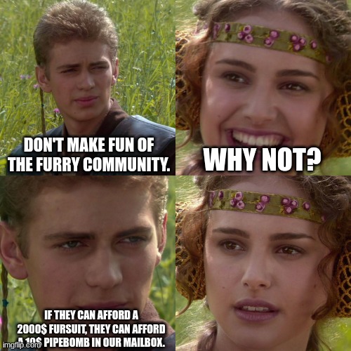 Anakin Padme 4 Panel | DON'T MAKE FUN OF THE FURRY COMMUNITY. WHY NOT? IF THEY CAN AFFORD A 2000$ FURSUIT, THEY CAN AFFORD A 10$ PIPEBOMB IN OUR MAILBOX. | image tagged in anakin padme 4 panel | made w/ Imgflip meme maker