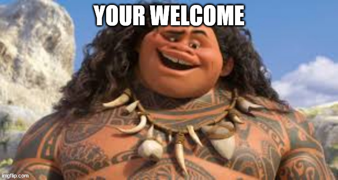 Your welcome | YOUR WELCOME | image tagged in your welcome | made w/ Imgflip meme maker