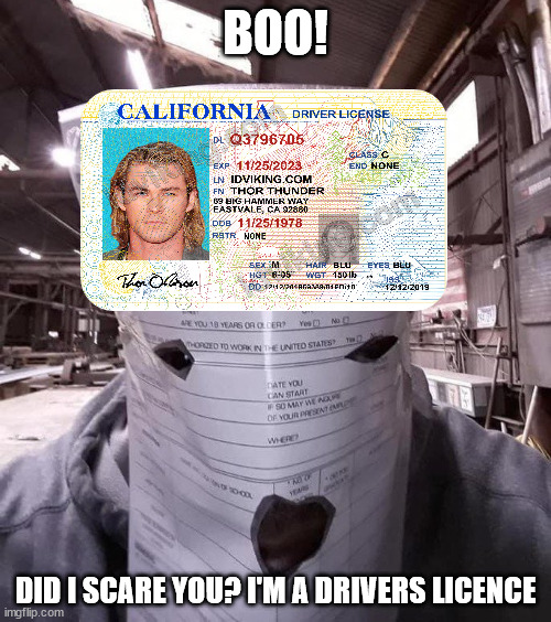 how to scare a 16 year old user | BOO! DID I SCARE YOU? I'M A DRIVERS LICENCE | image tagged in boo did i scare you,memes | made w/ Imgflip meme maker