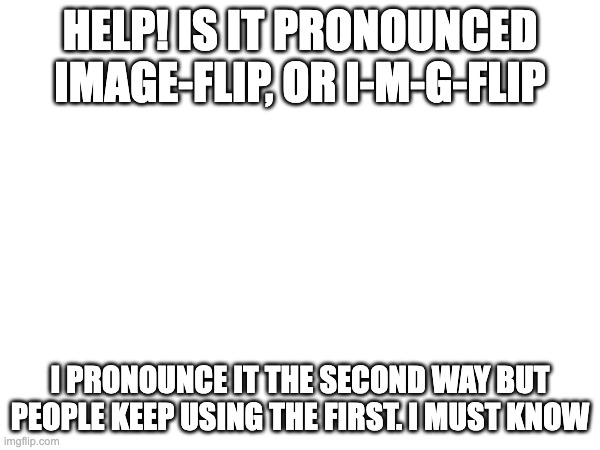HELPPPP | HELP! IS IT PRONOUNCED IMAGE-FLIP, OR I-M-G-FLIP; I PRONOUNCE IT THE SECOND WAY BUT PEOPLE KEEP USING THE FIRST. I MUST KNOW | image tagged in help me | made w/ Imgflip meme maker