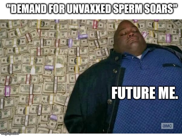 Future me | "DEMAND FOR UNVAXXED SPERM SOARS"; FUTURE ME. | image tagged in huell money | made w/ Imgflip meme maker
