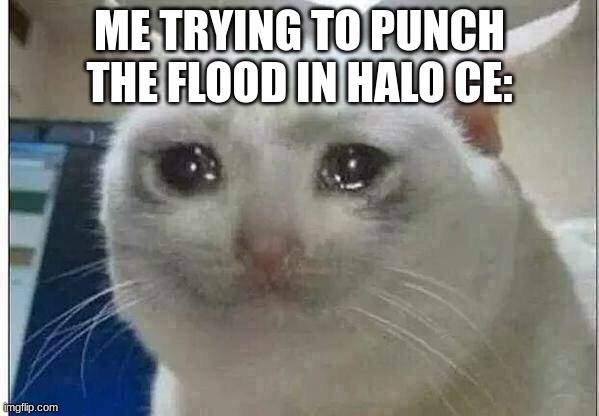 crying cat | ME TRYING TO PUNCH THE FLOOD IN HALO CE: | image tagged in crying cat | made w/ Imgflip meme maker