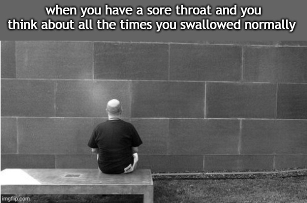 been there. | when you have a sore throat and you think about all the times you swallowed normally | image tagged in staring at a wall,barney will eat all of your delectable biscuits,oh wow are you actually reading these tags | made w/ Imgflip meme maker