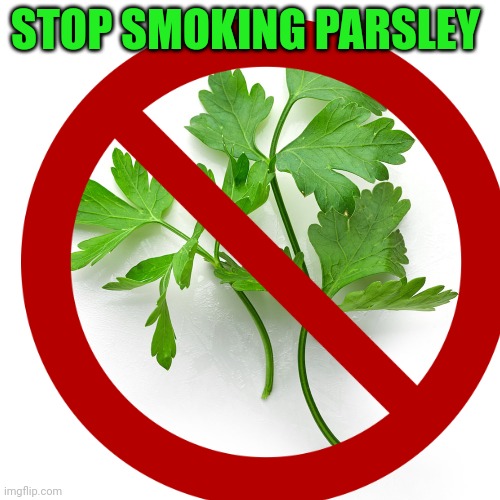 No. This is not ok. | STOP SMOKING PARSLEY | image tagged in stop,smoking | made w/ Imgflip meme maker