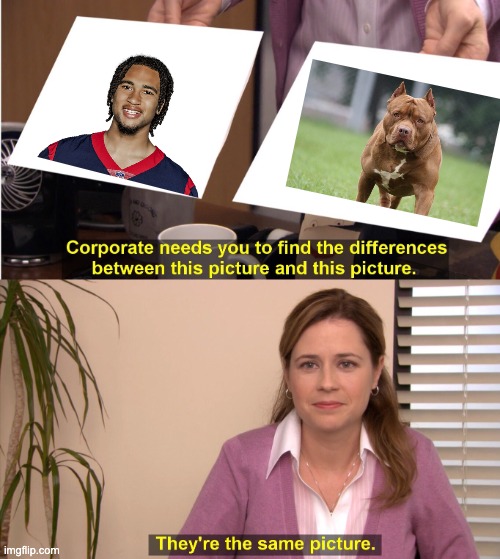 CJ stroud got that dog in him | image tagged in memes,they're the same picture | made w/ Imgflip meme maker