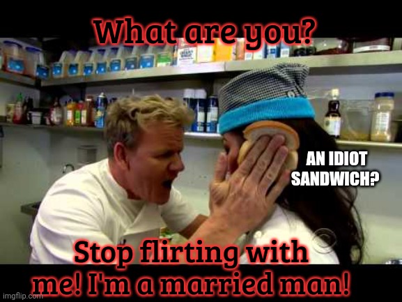 Idiot Sandwich | What are you? AN IDIOT SANDWICH? Stop flirting with me! I'm a married man! | image tagged in idiot sandwich | made w/ Imgflip meme maker