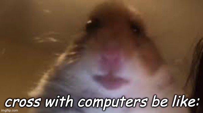facetime hamster | cross with computers be like: | image tagged in facetime hamster | made w/ Imgflip meme maker