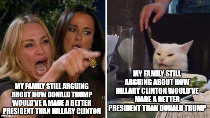 My family's arguments on Thanksgiving | MY FAMILY STILL ARGUING ABOUT HOW HILLARY CLINTON WOULD'VE MADE A BETTER PRESIDENT THAN DONALD TRUMP; MY FAMILY STILL ARGUING ABOUT HOW DONALD TRUMP WOULD'VE A MADE A BETTER PRESIDENT THAN HILLARY CLINTON | image tagged in angry lady cat | made w/ Imgflip meme maker