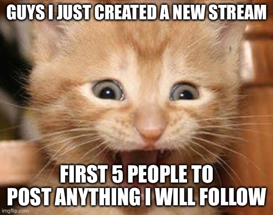 https://imgflip.com/m/PostAboutAnything | GUYS I JUST CREATED A NEW STREAM; FIRST 5 PEOPLE TO POST ANYTHING I WILL FOLLOW | image tagged in memes,excited cat | made w/ Imgflip meme maker