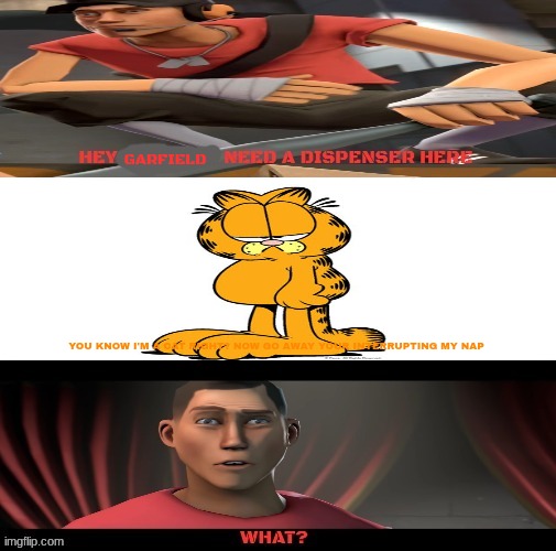 garfield tells scout no | GARFIELD; YOU KNOW I'M A CAT RIGHT? NOW GO AWAY YOUR INTERRUPTING MY NAP | image tagged in garfield,tf2,valve,memes | made w/ Imgflip meme maker
