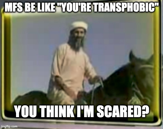 don't take this seriously guys | MFS BE LIKE "YOU'RE TRANSPHOBIC"; YOU THINK I'M SCARED? | image tagged in osama on horse | made w/ Imgflip meme maker