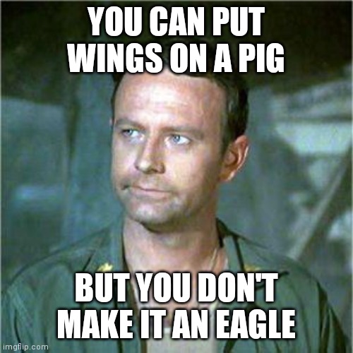 Wings on a Pig | YOU CAN PUT WINGS ON A PIG; BUT YOU DON'T MAKE IT AN EAGLE | image tagged in frank burns,funny memes | made w/ Imgflip meme maker